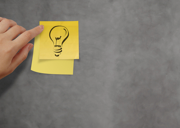 19 نکته مهم درباره جک راسل تریر: راهنمای جامع