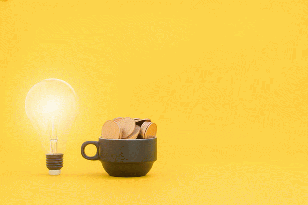 19 نکته جذاب در مورد تونل بازی گربه ها + 3 روش ساخت تونل گربه در خانه