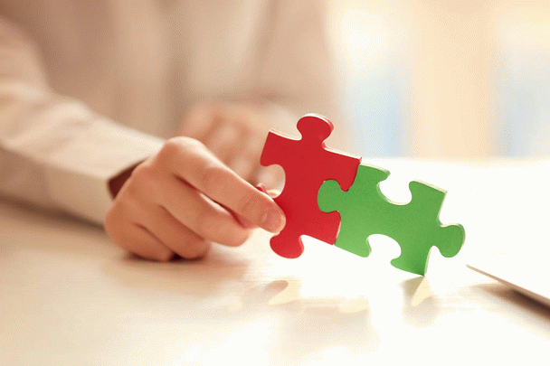 17 نکته طلایی در تغذیه سگ مالتیز شما