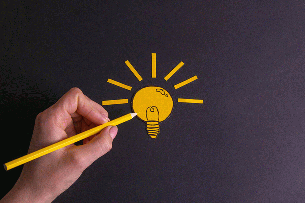 19 نکته کلیدی در تغذیه سگ: راهنمای جامع برای صاحبان سگ